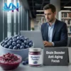 Blueberry Powder